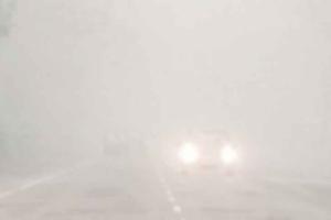 हरियाणा में शीत लहर व पाला जमने की स्थिति बनी