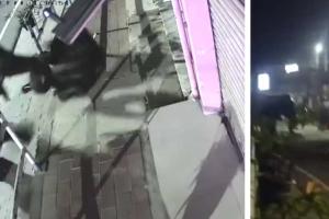 जंगली हाथी ने राहगीर पर किया हमला, जिला प्रशासन ने लगाया कर्फ्यू