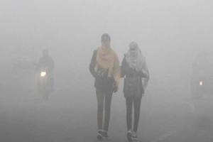 कोहरे की चादर में लिपटा इलाका, सर्द हवाओं ने छुड़ाई कंपकंपी