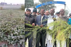 चिंताजनक : भिवानी जिले के कई गाँवों में किसानों की मेहनत पर फिरा पानी