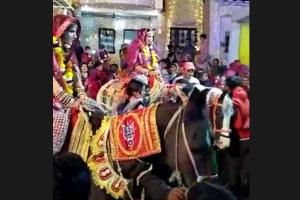 दुल्हनों के बिंदोली निकालने पर पंचायत का तुगलकी फरमान, भाई को समाज से निकाला