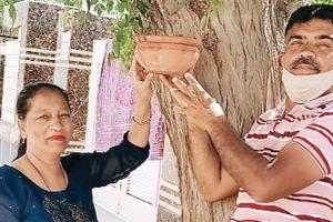 शादी की सालगिरह पर डेरा प्रेमी ने किया गजब का काम, हुई वाहवाही