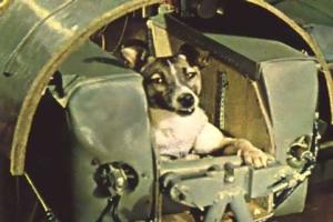 Laika Doggy: जब अंतरिक्ष में पहली बार कुत्ता गया तो…