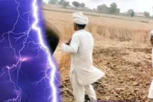 आसमानी बिजली गिरने से गेहूं की फसल में लगी आग