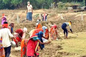 हरियाणा में अब मनरेगा श्रमिकों को 26 रूपये की बढ़ोतरी के साथ 357 रुपए मिलेगा दैनिक वेतन