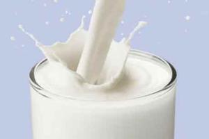 RCDF:  आरसीडीएफ ने दूध बिक्री में रचा कीर्तिमान