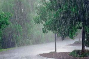 IMD Weather Alert: अगर आप घर से कहीं जा रहे हैं तो पहले जान लें कि अगले 24 घंटे मौसम कैसा रहेगा