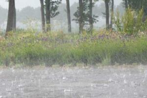 बारिश से किसानों की थमी सांसे, आम समेत कई फसलों को नुक्सान