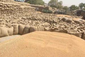 सीधे किसानों के खातों में पहुंचेंगे 317.22 करोड़