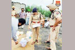 फाजिल्का में बरामद नशे को किया नष्ट
