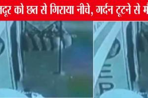 Ambala Crime: अंबाला में मच्छरदानी का विवाद मौत तक पहुंचा