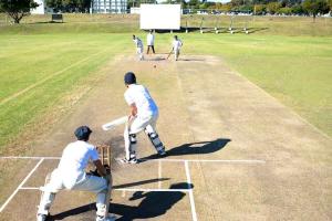 Cricket News: राज्य स्तरीय क्रिकेट प्रतियोगिताओं के लिए चयन ट्रायल 29 व 30 मई को 