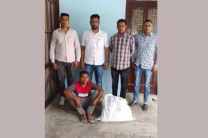 धमतान साहिब गांव से 7 किलो गांजा सहित एक आरोपी काबू