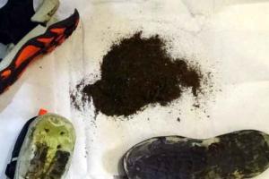 ऐसे रुक सकेगा नशा ? पुलिसकर्मी ने दिया गांजा, जेल के गेट पर हवालाती दबोचा