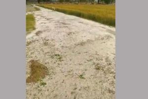 अलर्ट जारी: राजस्थान में तेज आंधी उड़ाएगी धूल, बारिश की भी संभावना