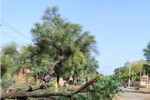 Storm : तूफान के तांडव में ‘चांदी ही चांदी’!