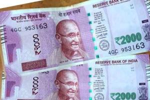आरबीआई की घोषणा के बाद मार्केट में ज्यादा दिखने लगे गुलाबी नोट
