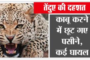 क्या हुआ जब अचानक लोगों के सामने आया तेंदुआ, कड़ी मशक्कत के बाद पिंजरे में कैद हुआ