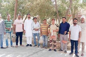 डेरा प्रेमियों ने पेड़ों पर बांधे परिण्डे