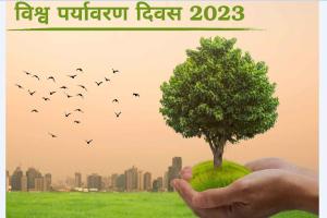 पर्यावरण और विकास का स्वरूप