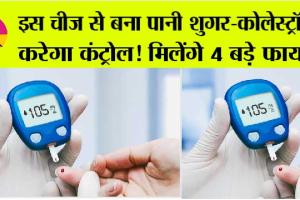Sugar Level Control: शुगर-कोलेस्ट्रॉल मात्र 10 रुपये में कंट्रोल