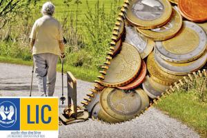 LIC Saral Pension Plan : एक बार निवेश, पायें 12 हजार विशेष