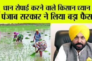 Punjab News: धान रोपाई करने वाले किसान ध्यान दें, पंजाब सरकार ने लिया बड़ा फैसला
