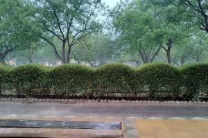 Haryana Ka Mausam: हरियाणा के अगले तीन दिन का मौसम जारी