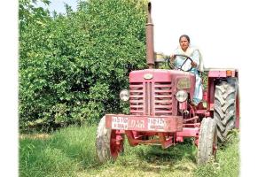 म्हारी  खेती-म्हारे किसान : पीक्यूएनके पद्धति अपनाकर बागवानी में मोटा मुनाफा कमा रही सुनीता गोदारा
