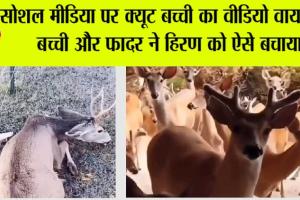 Trending Video: कंटीली तार से हिरण की मदद को बढ़ाए थे हाथ, हिरण पहुंचा करने धन्यवाद मिलकर दोस्तों के साथ