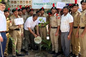 एन सी सी कैडेटस ने पौधारोपण कर मनाया पर्यावरण दिवस