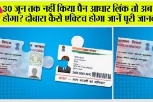 Aadhar-PAN Linking: 30 जून तक नहीं किया पैन आधार लिंक तो अब क्या होगा? दोबारा कैसे एक्टिव होगा जानें पूरी जानकारी