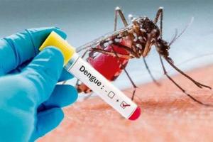 Delhi Dengue: डेंगू से निपटने के लिए सरकार पूरी तरह से तैयार: केजरीवाल