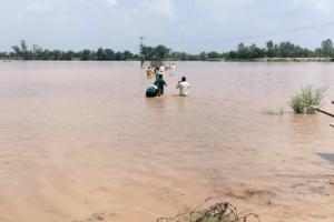 Ghaggar River: टोहाना के साथ लगते पंजाब में दो जगह टूटी घग्घर, ग्रामीण भयभीत, फतेहाबाद के गांवों पर खतरा मंडराया