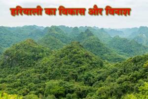 Greenery: हरियाली का विकास और विनाश