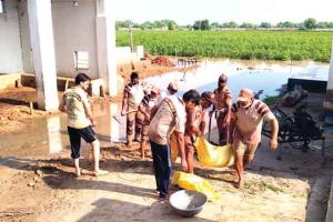 शाह सतनाम जी ग्रीन एस वैल्फेयर फोर्स : ‘सेवा हमारा कर्म है-सेवा हमारा धर्म है’