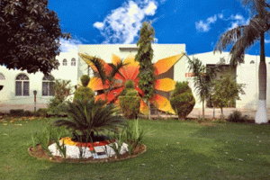 श्रीगुरूसरमोडिया: विशाल नि:शुल्क चिकित्सा जांच शिविर 23 जुलाई को