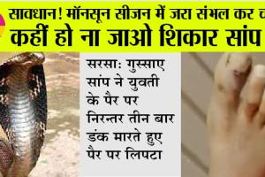 Cobra Snake Bite: बहुत ही बड़ी घटना, जहरीला कोबरा के काटने से 19 वर्षीय युवती की हुई मौत के बाद कैसे पकड़ा कोबरा?