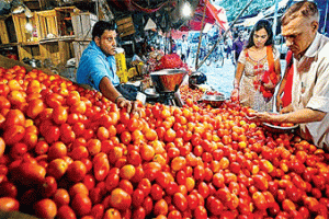 Tomato Price Hike: पूरे देश में अचानक बढ़े टमाटर के दाम, ऐसा क्यों…राहत कब?