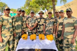 BSF: पाक की फिर नापाक हरकत, ड्रोन से फेंकी 55 करोड़ की हेरोइन