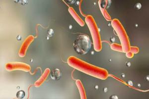 Cholera: हैजा से 30 लोगों की मौत, डब्ल्यूएचओ ने जताई चिंता