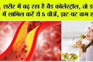 Cholesterol Control Foods: शरीर में बढ़ रहा है बैड कोलेस्ट्रॉल, तो डाइट में शामिल करें ये 5 चीजें, झट-पट कम होगा कोलेस्ट्रॉल