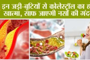 Cholesterol Remedy: बिना दवा कोलेस्ट्रॉल कंट्रोल करने रामबाण घरेलू इलाज