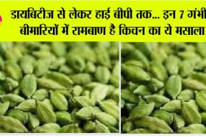 Elaichi Benefits: डायबिटीज से लेकर हाई बीपी तक… इन 7 गंभीर बीमारियों में रामबाण है किचन का ये मसाला