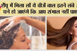 Get Long Hair: Shampoo में मिला लों ये चीजें बाल इतने लंबे और घने हो जाएंगे कि आप संभाल नहीं पाएंगे