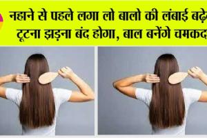 Get Long Shiny Hair: नहाने से पहले लगा लो बालो की लंबाई बढ़ेगी, टूटना झड़ना बंद होगा, बाल बनेंगे चमकदार