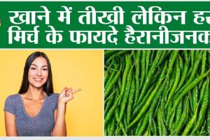 Green Chilly Benefits: हर रोज हरी मिर्च एक, फायदे अनेक