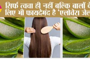 Hair Care Tips: सिर्फ त्वचा ही नहीं बल्कि बालों के लिए भी फायदेमंद है ‘एलोवेरा जेल’ बस इन तरीकों से करें इस्तेमाल