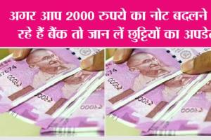 Indian Currency: अगर आप 2000 रुपये का नोट बदलने जा रहे हैं बैंक तो जान लें छुट्टियों का अपडेट