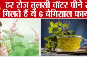 Tulsi Benefits: औषधिय गुणों से भरपूर है तुलसी, जानें तुलसी के पानी के फायदे